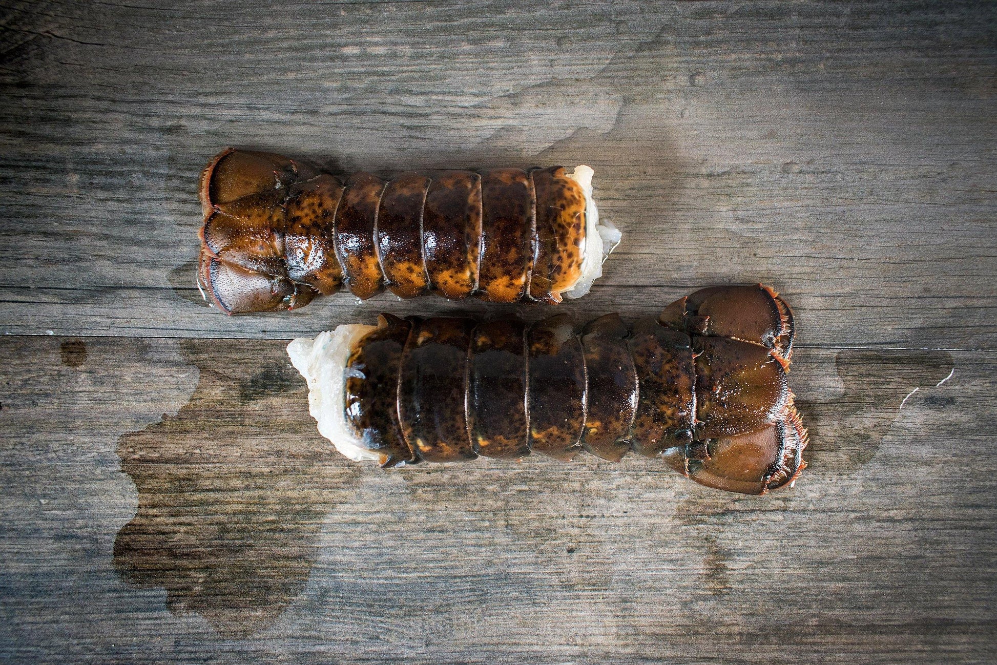 Lobster Tails - The Standard Meat Club